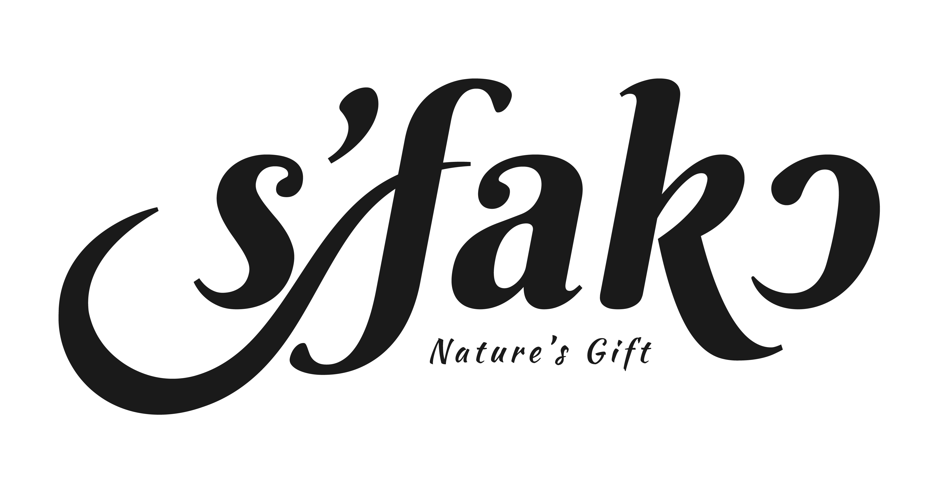 Logo SFAKO 1.1 1 03